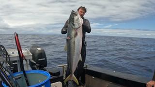 Yellowfin Mission