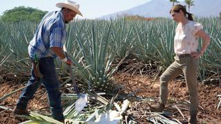 The Heart of Tequila