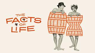  watch The Facts of Life