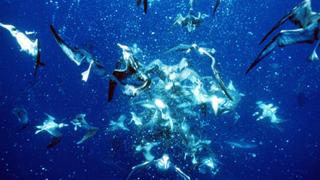 The Blue Planet