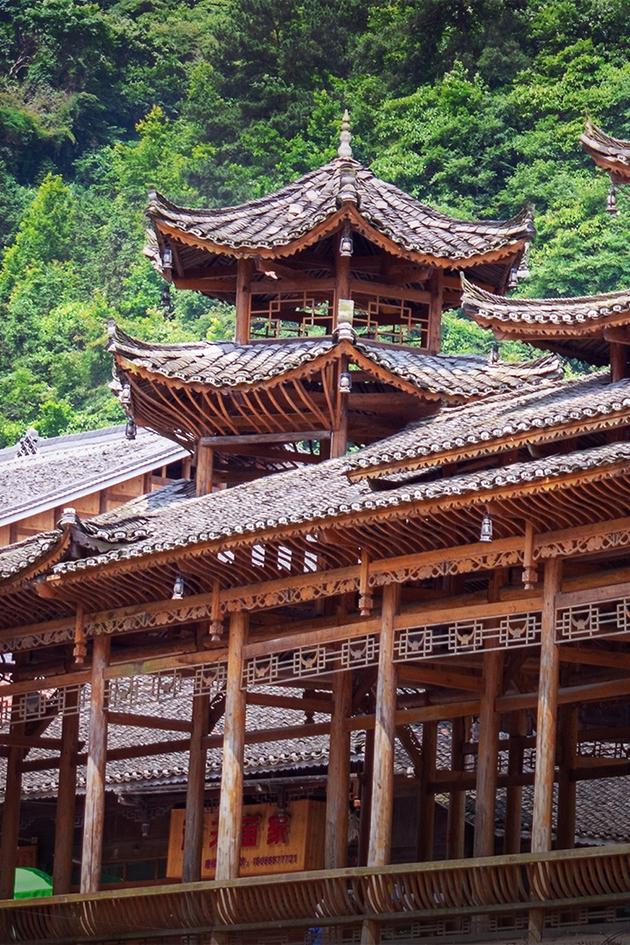 The World of Bridges