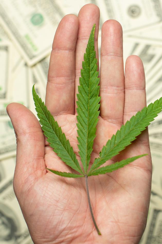Discover the Power of CBD