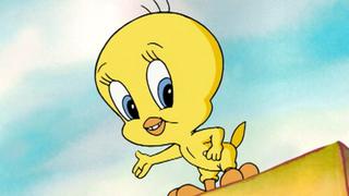 Cat-Taz-Trophy; Duck! Monster! Duck!