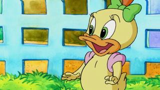 Wise Quacker; Yours, Mine... and Mine, Mine!