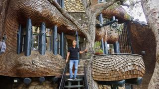 Wild Houses, Assemble!