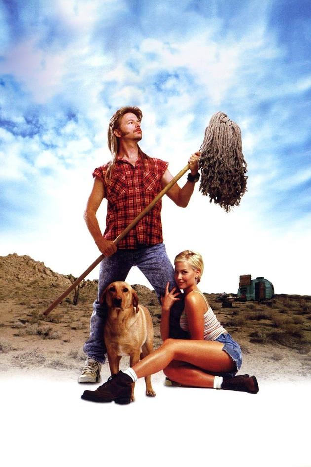 Joe Dirt