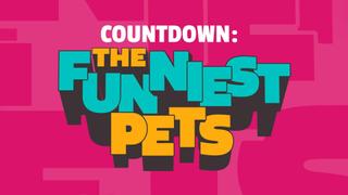 Countdown -- The Funniest Pets