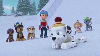 Rescue Wheels: Pups Save the Risky Race; Rescue Wheels: Pups Save the Runaway Truck