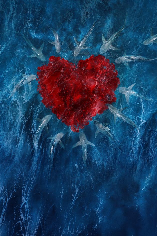 Shark Frenzy: Mating Games