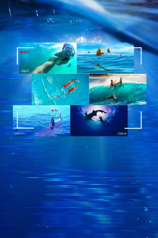 Caught! When Sharks Attack