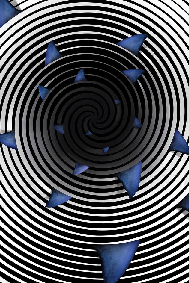 Great White Danger Zone