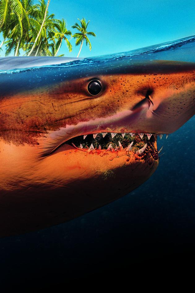 Shark Attack Island
