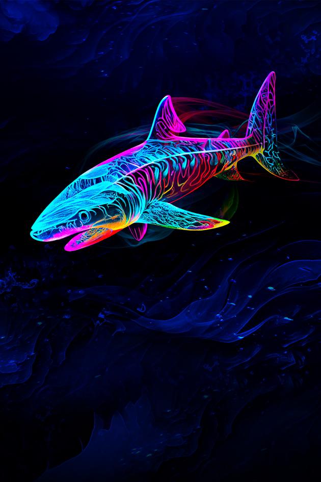 Sharktopia