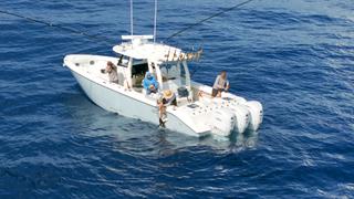 Expedition: Gulf Stream