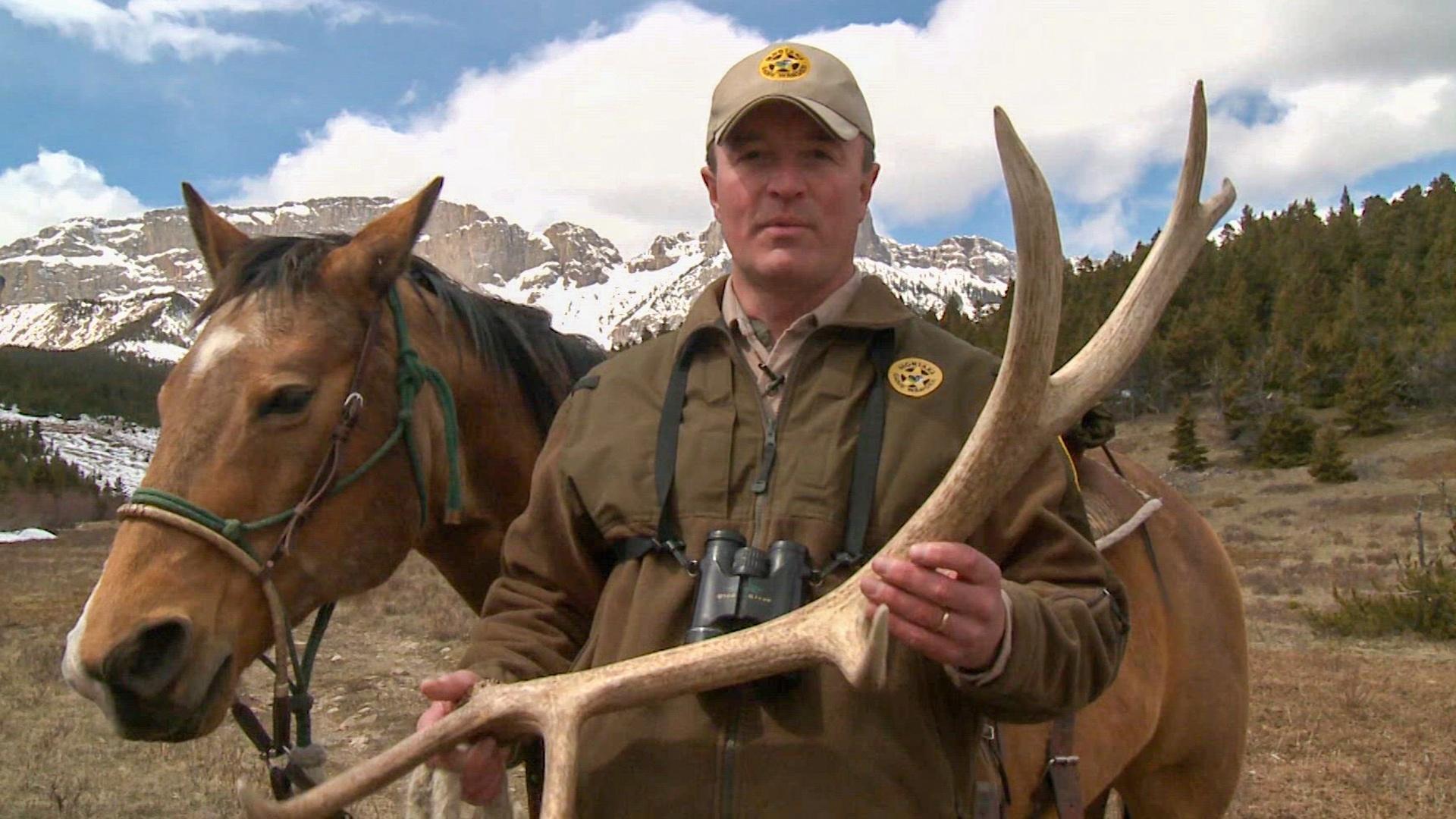 Yellowstone Wardens Montana Style yellowstone-wardens-montana-style