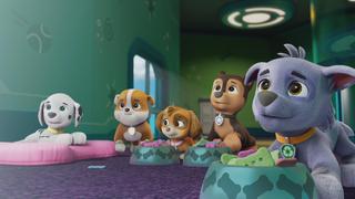 Pups Save Helga and the Humsquatch; Pups Save the Missing Bone-Stone