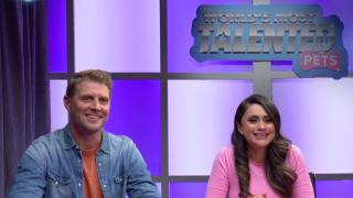 Purr-sistence Pays Off Purr-sistence Pays Off