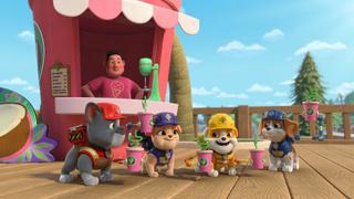 Rubble & Crew