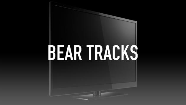 Bear Tracks