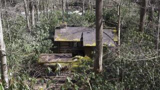Cabin 13