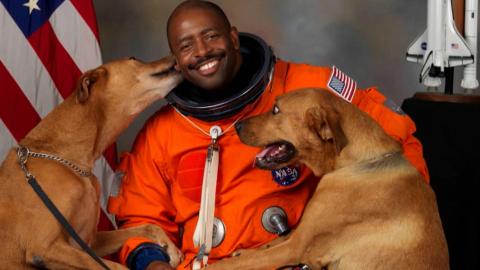 McMinnville UFO Photos, Paranormal Office, and Australian River Beast