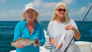 BoatCation Cruising Down America's Best Beaches in Florida