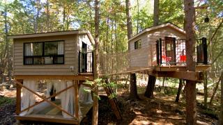 Backyard Builds