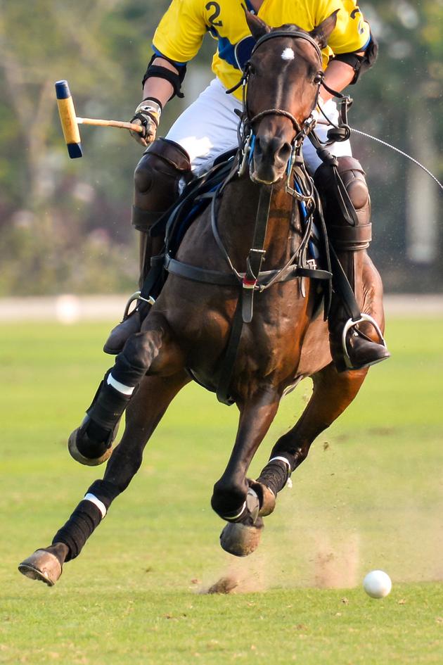 US Polo: Breakaway