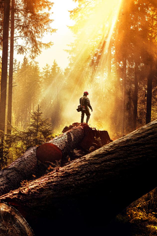 The Last Woodsmen