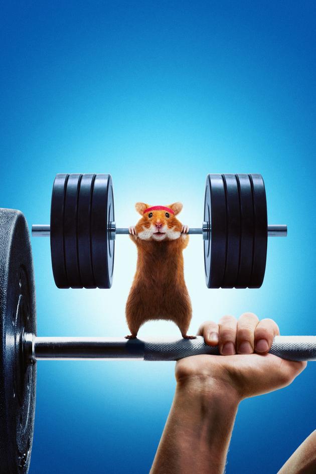 Human vs Hamster