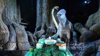 The Forbidden Forest