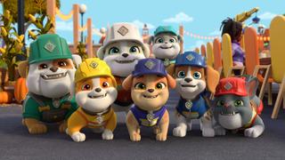 Rubble & Crew