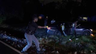 Multiple K9 Pursuits