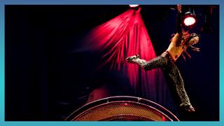 Kurios: Cabinet of Curiosities, Luzia & Kooza