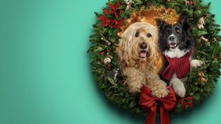 Happy Howlidays