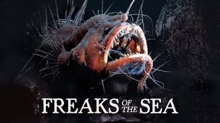 Freaks of the Sea