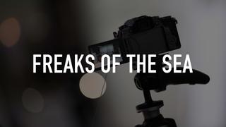 Freaks of the Sea