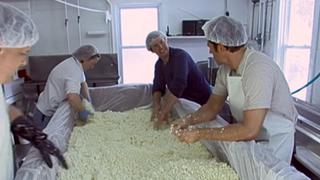 Cheese Maker