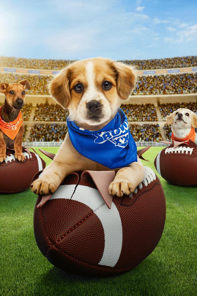 Puppy Bowl XXI