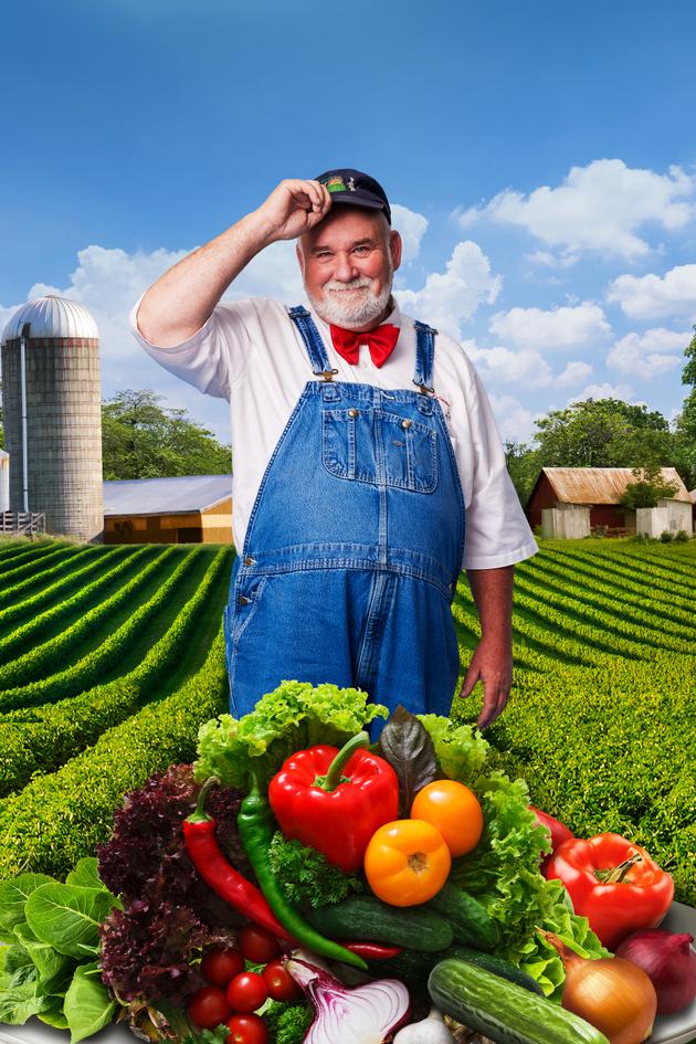 The Chef's Garden