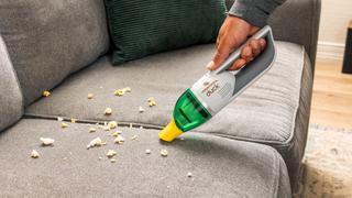 Cleaning Is Fun With Duck!