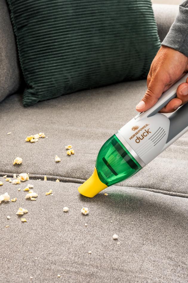 Cleaning Is Fun With Duck!