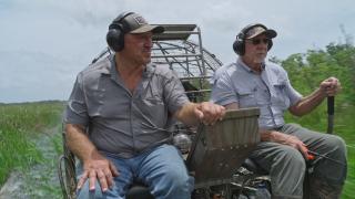 Vanishing Gators