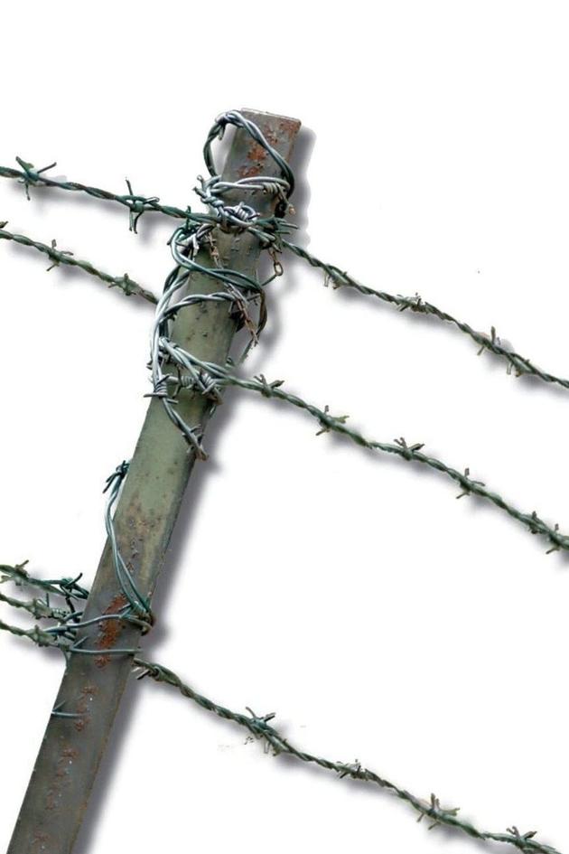 Watch The Grey Zone Streaming Online on Philo (Free Trial)