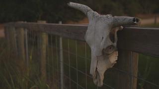 Mystery In Cuero