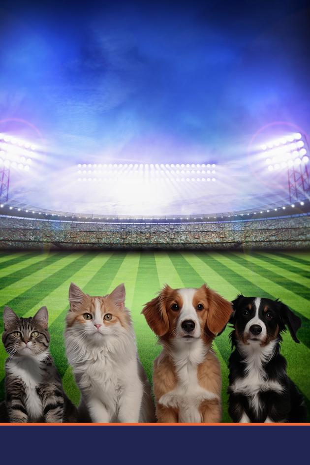 Great American Rescue Bowl 2025
