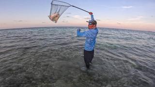 Seasons on the Fly