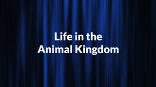 Life in the Animal Kingdom