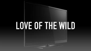 Love of the Wild