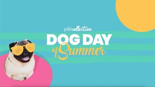 TPC Dog Day of Summer